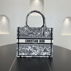 Dior Shopping Bags